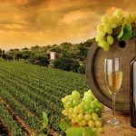 Wine Tour Limo Transportation